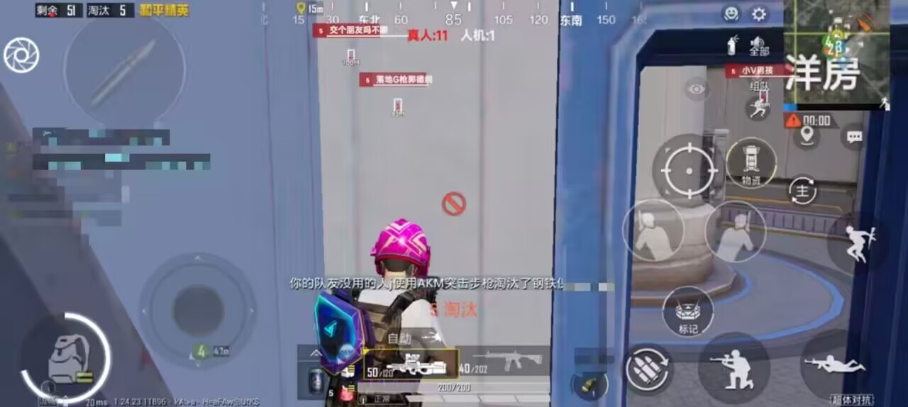 和平精英《火锅》辅助